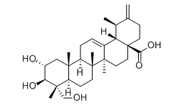 Actinidic acid manufacturer